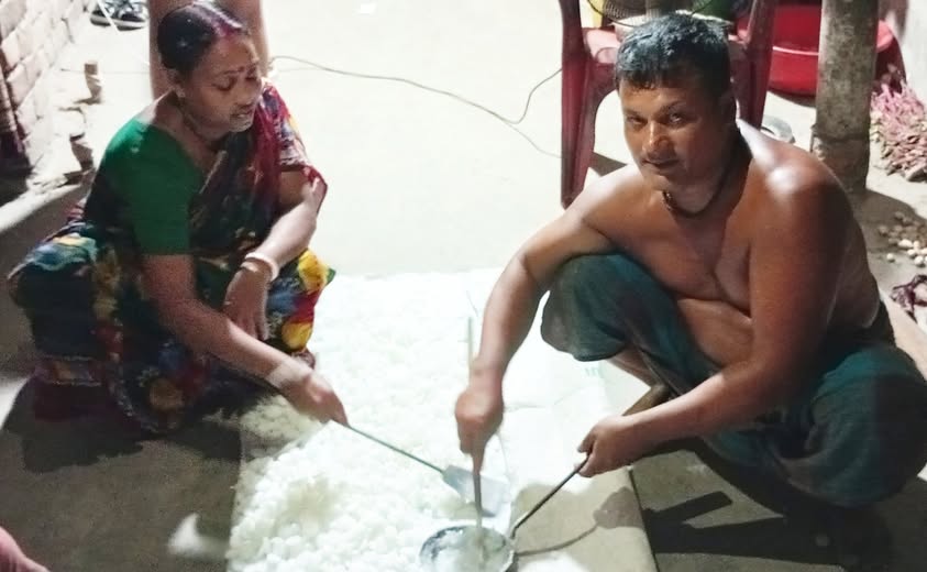হাতি ঘোড়া তৈরি করেও সংসারের উন্নতি হচ্ছে না 
