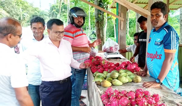 আবাদি জমির পাশের সড়কেই ড্রাগনের দোকান