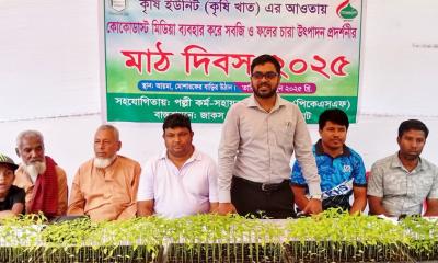 পাঁচবিবিতে কৃষি মাঠ দিবস অনুষ্ঠিত 