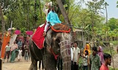 জয়পুরহাটে হাতির পিঠে ঘোড়ার গাড়িতে বরযাত্রা