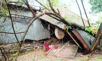  ভয়াবহ কালবৈশাখীর ঝড়ে লণ্ডভণ্ড গাইবান্ধার গোবিন্দগঞ্জ