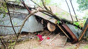  ভয়াবহ কালবৈশাখীর ঝড়ে লণ্ডভণ্ড গাইবান্ধার গোবিন্দগঞ্জ